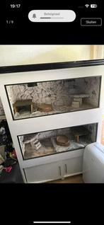 Groot zwaar terrarium, Dieren en Toebehoren, Reptielen en Amfibieën | Toebehoren, Ophalen, Zo goed als nieuw, Terrarium of Paludarium