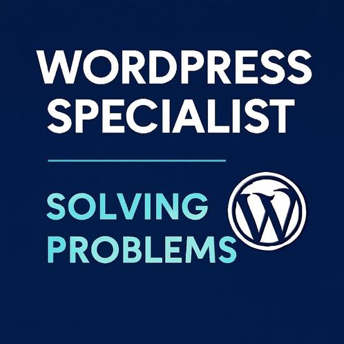 WordPress Specialist Hoogeveen | Custom Development, Boeken, Informatica en Computer, Nieuw, Ophalen of Verzenden