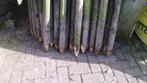 gecreosoteerde  heining palen boompalen   voor afrastering, Tuin en Terras, Palen, Balken en Planken, Ophalen, Gebruikt, Minder dan 180 cm