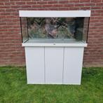 Juwel Rio 180 aquarium met toebehoren, Dieren en Toebehoren, Ophalen, Gebruikt, Leeg aquarium