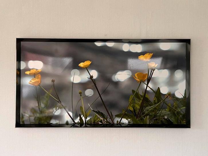 Nielsen professionele fotolijsten 63,5 x 83,5 cm zilver, Audio, Tv en Foto, Fotografie | Fotolijsten, Gebruikt, Ophalen