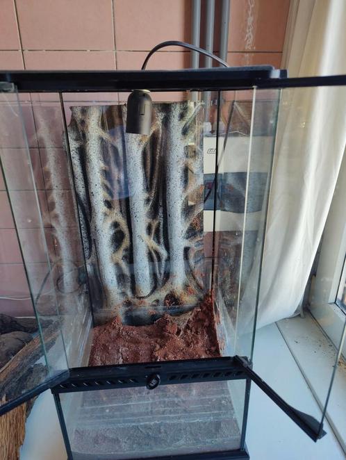Exo terra paludarium, Dieren en Toebehoren, Reptielen en Amfibieën | Toebehoren, Zo goed als nieuw, Terrarium of Paludarium, Ophalen