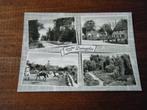 H21 - Dwingeloo - oa Paarden - Mooi/Oud, Ophalen of Verzenden, Drenthe