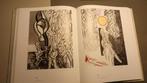 boek - kunstwerken, Ophalen, Zo goed als nieuw, Overige onderwerpen