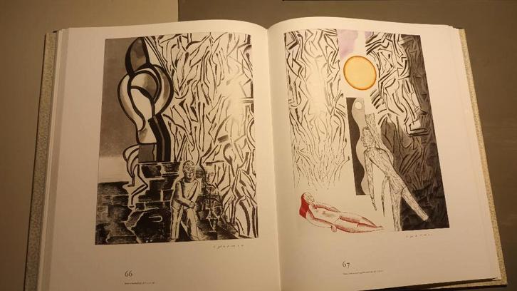 boek - kunstwerken, Boeken, Kunst en Cultuur | Fotografie en Design, Zo goed als nieuw, Overige onderwerpen, Ophalen