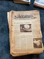 Verzameling Vele jaargangen avicultura de konijnenfokker, Meerdere dieren, Kip