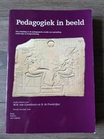 Boek HBO / WO : Pedagogiek in beeld, Boeken, Studieboeken en Cursussen, Ophalen of Verzenden, Zo goed als nieuw, HBO, M.H. van IJzendoorn