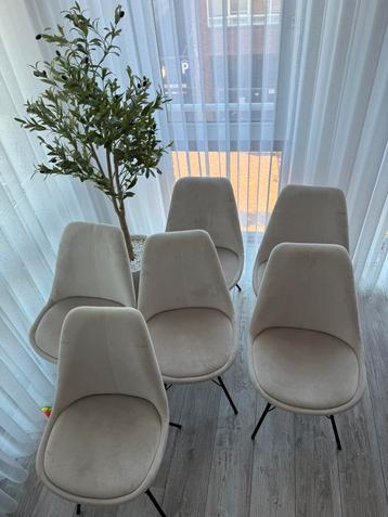 6 Westwing fluwelen stoelen beige - als nieuw! beschikbaar voor biedingen
