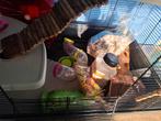 Zgan knaagdieren kooi met allerlei extras, Dieren en Toebehoren, Ophalen, Kooi, Hamster, 60 tot 90 cm