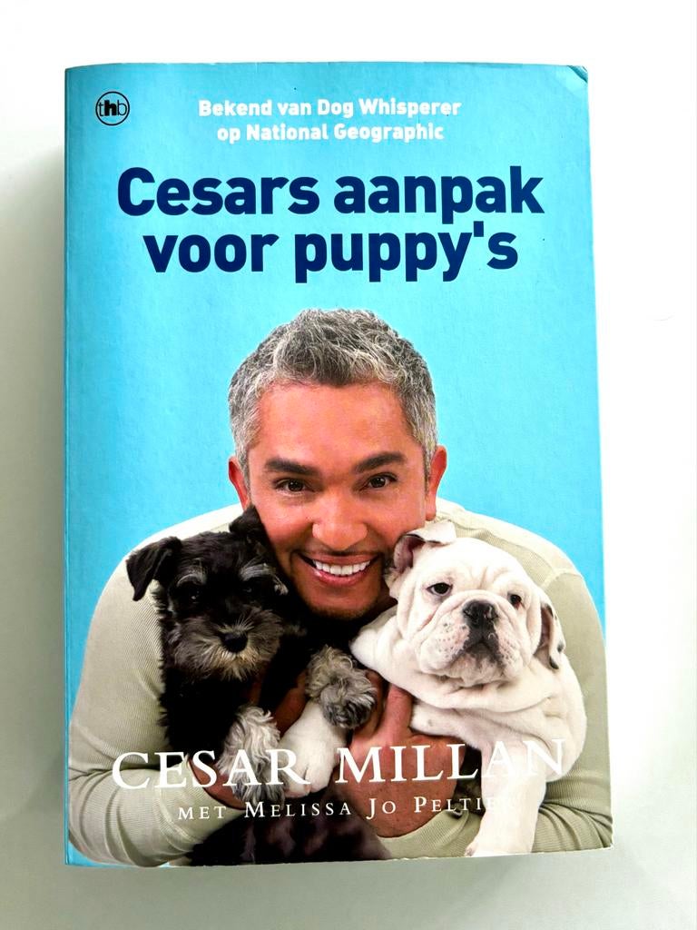 Cesar Millan - Cesars aanpak voor puppy's, Honden, Zo goed als nieuw, Cesar Millan, Ophalen of Verzenden