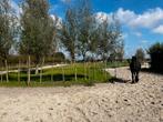 Uniek plekje vrij in paddock paradise te bergen!, Weidegang, 1 paard of pony