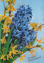 Hartelijk gefeliciteerd - irissen - nieuw - uitgave Krüger, Verzamelen, Ansichtkaarten | Themakaarten, Verzenden, 1980 tot heden