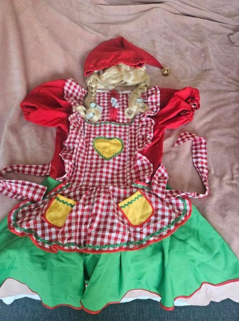 Kabouterjurkje carnaval, Kleding | Dames, Maat 38/40 (M), Carnaval, Ophalen of Verzenden, Kleding
