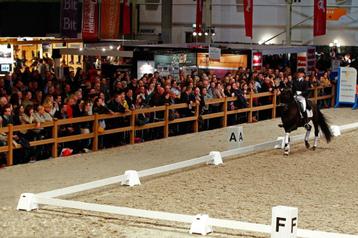 Dressuurpistes 20x60m uit verhuur. Tegen gereduceerde prijs beschikbaar voor biedingen