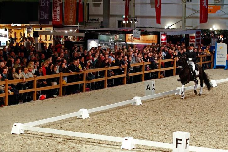 Dressuurpistes 20x60m uit verhuur. Tegen gereduceerde prijs, Dieren en Toebehoren, Paarden en Pony's | Overige Paardenspullen