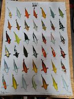 Koi Poster - Vis Poster