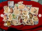 Doge stickerset 50 stuks, Ophalen of Verzenden, Nieuw, Meerdere stickers