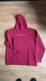 Hoodie Daily Easthetikz rood maat L, Ophalen of Verzenden, Zo goed als nieuw, Maat 38/40 (M), Rood