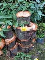 Haardhout 5 grote stukken, Minder dan 3 m³, Ophalen, Overige houtsoorten