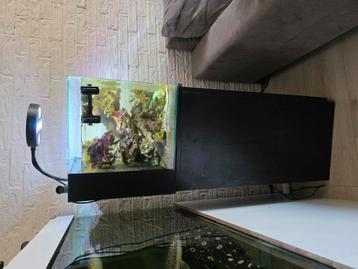 Compleet zeeaquarium beschikbaar voor biedingen