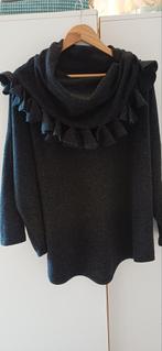 Heerlijk item van Boris 48 50, Zwart, Trui of Vest, Ophalen of Verzenden, Zo goed als nieuw