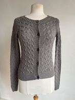 knit-ted vest grijs maat XS, Verzenden, Knit-ted, Zo goed als nieuw, Maat 34 (XS) of kleiner