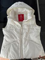 Esprit bodywarmer ecru , dames maat 36/38, Kleding | Dames, Bodywarmers, Esprit, Ophalen of Verzenden, Zo goed als nieuw, Maat 36 (S)