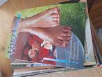 Voetvak pedicure vakblad, Ophalen of Verzenden, 1980 tot heden, Nederland, Tijdschrift