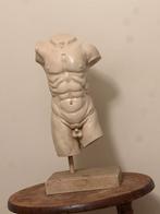 Mannelijke torso, Ophalen