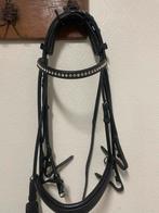 Passier stang en trens hoofdstel rondgenaaid full, Ophalen of Verzenden, Zo goed als nieuw, Dressuur