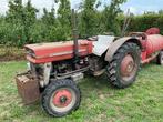 Massey Ferguson 135 Oldtimer tractor, Zakelijke goederen, Agrarisch | Tractoren, Oldtimer, Massey Ferguson