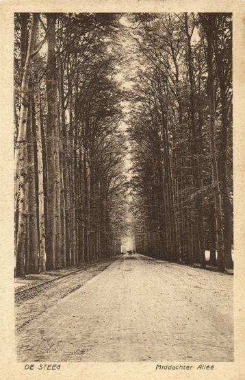 De Steeg - Middachter Allee - 1923 gelopen beschikbaar voor biedingen