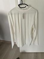 Trui, Kleding | Dames, Overige kleuren, Maat 46/48 (XL) of groter, Nieuw, Ophalen of Verzenden