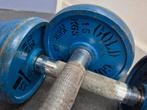 old skool gewichten 15 kg per stuk, Sport en Fitness, Ophalen, Gebruikt, Armen, Dumbbell