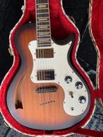 hollow in case (ruil/koop?), Muziek en Instrumenten, Snaarinstrumenten | Gitaren | Elektrisch, Ophalen of Verzenden, Gebruikt