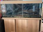Aquarium met supergave 3d achterwand, Ophalen, Zo goed als nieuw, Leeg aquarium