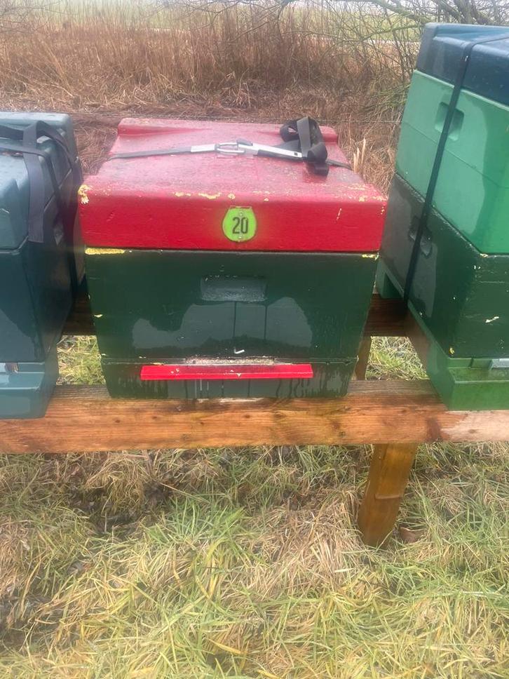 Meerdere bijenvolken incl segeberger kast, Dieren en Toebehoren, Insecten en Spinnen, Bijen