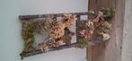 Droogbloemen op een brocante ladder, Ophalen of Verzenden, Nieuw