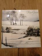 Peter Green (Fleetwood Mac) : White Sky (vinyl LP), Ophalen of Verzenden, Zo goed als nieuw, 12 inch, Poprock