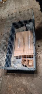 Caviahok hamster konijnenhok., Dieren en Toebehoren, Minder dan 60 cm, Ophalen of Verzenden, Hok, Hamster