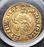 Goudgulden bisdom Utrecht, Rudolf van Diepholt, kwaliteit, Postzegels en Munten, Munten | Nederland, Ophalen of Verzenden, Vóór koninkrijk
