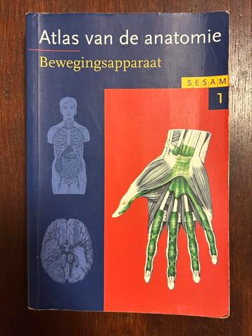 Werner Platzer - 1 Bewegingsapparaat beschikbaar voor biedingen