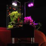 Nieuwe aquariums in doos met alle toebehoren brio 35 nior, Ophalen, ., Nieuw, Leeg aquarium