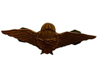Bronzen Para baret KNIL  wing beschikbaar voor biedingen