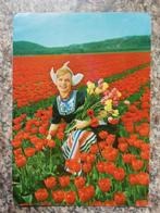 Klederdracht, dame tussen tulpen, Gelopen, Klederdracht, 1960 tot 1980, Ophalen of Verzenden