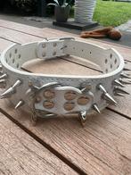 XXL Power Statement hondenhalsband 68 cm lang | 5 cm br, Ophalen of Verzenden, Nieuw