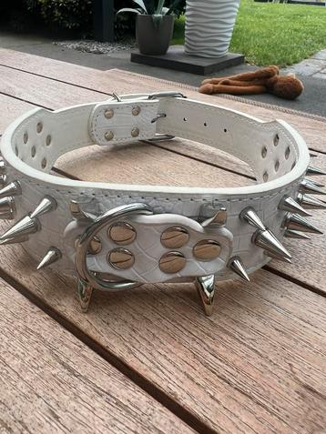 XXL Power Statement hondenhalsband 68 cm lang | 5 cm br beschikbaar voor biedingen
