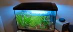 Aquarium superfish 70, 60 Liter, Dieren en Toebehoren, Vissen | Aquaria en Toebehoren, Ophalen