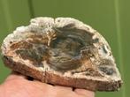 Versteend hout schijf plak dubbel gepolijst mineralen 1, Ophalen of Verzenden, Mineraal