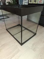 Juwel Lido 200 Aquarium (inclusief onderkast + extra), Dieren en Toebehoren, Vissen | Aquaria en Toebehoren, Ophalen, Zo goed als nieuw